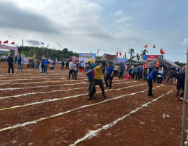 HT-7.jpg