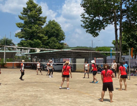 bong-chuyen-nu-2.jpg